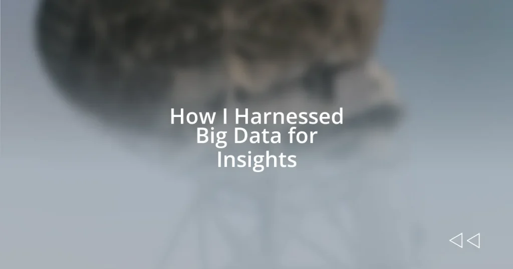 How I Harnessed Big Data for Insights