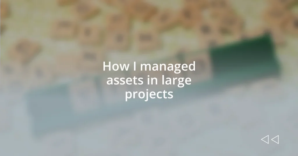 How I managed assets in large projects