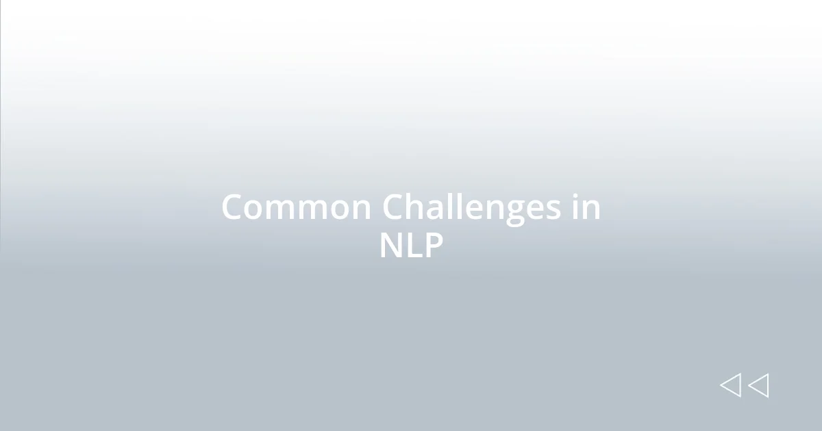 Common Challenges in NLP