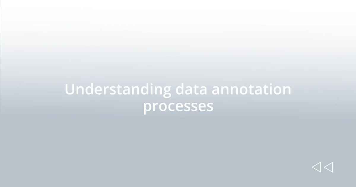Understanding data annotation processes