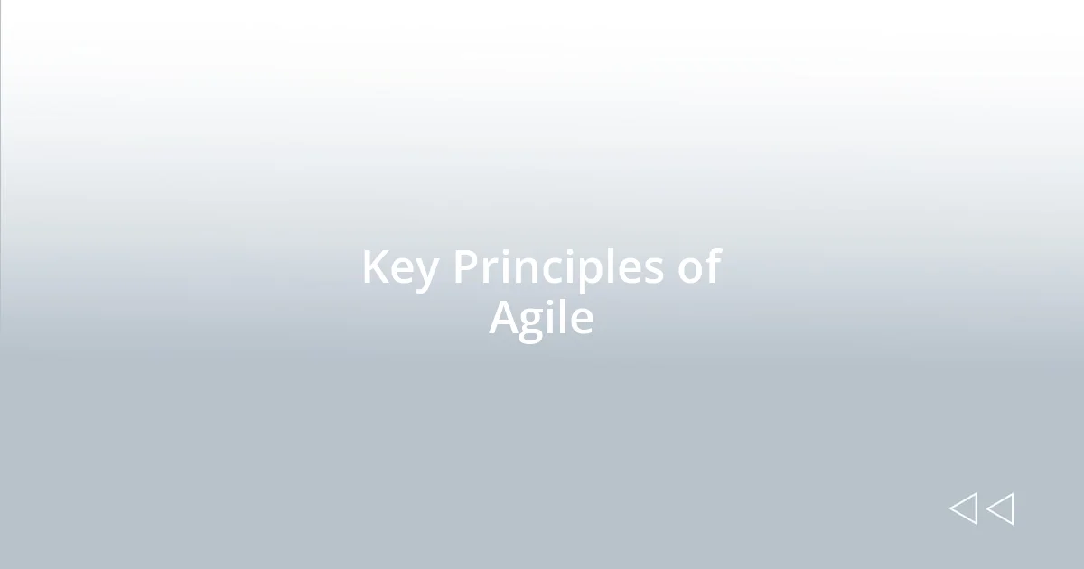 Key Principles of Agile